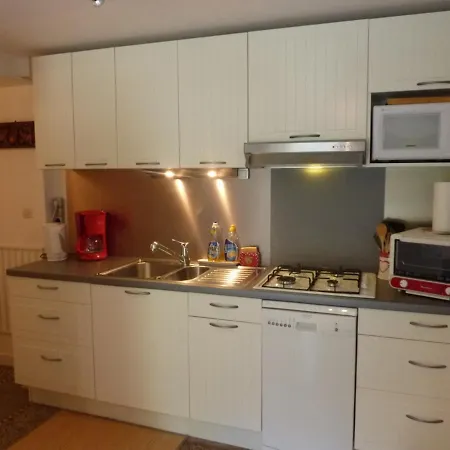 Prázdninový dům Maison Au Mont-dore Avec Jardin Clos, Ideale Pour 10 Personnes - Fr-1-608-120 *