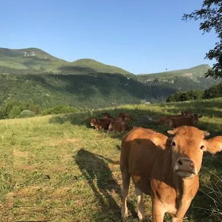 Casa de Férias Maison Au Mont-dore Avec Jardin Clos, Ideale Pour 10 Personnes - Fr-1-608-120 *