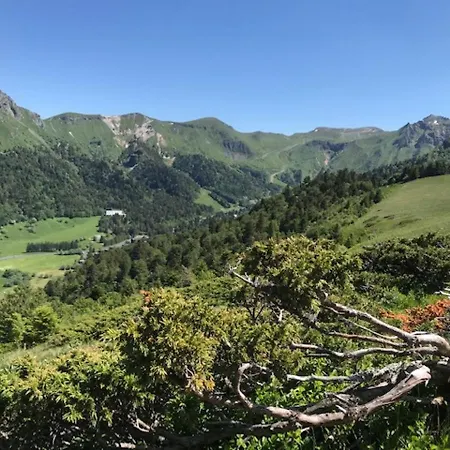 Maison Au Mont-dore Avec Jardin Clos, Idéale Pour 10 Personnes - Fr-1-608-120 Le Mont-Dore
