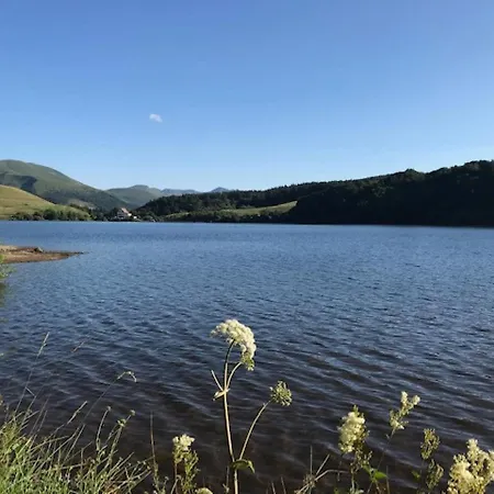 Casa de Férias Maison Au Mont-dore Avec Jardin Clos, Ideale Pour 10 Personnes - Fr-1-608-120 Le Mont-Dore