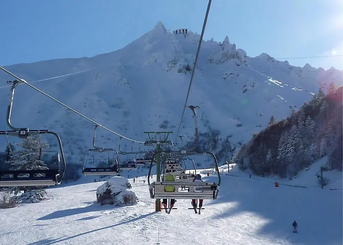 Maison Au Mont-dore Avec Jardin Clos, Ideale Pour 10 Personnes - Fr-1-608-120 펜션