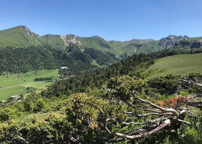 Maison Au Mont-dore Avec Jardin Clos, Ideale Pour 10 Personnes - Fr-1-608-120 르몽도레