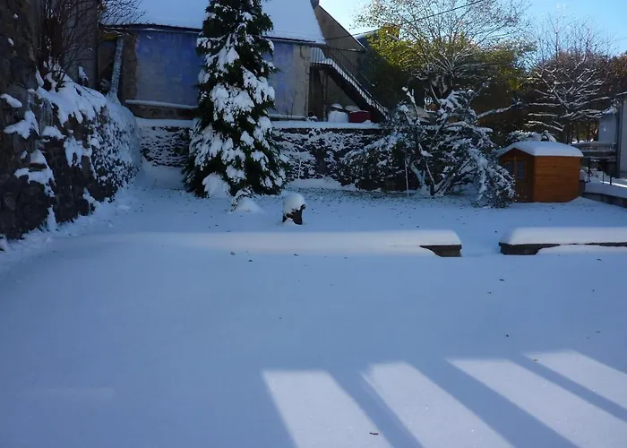 Maison Au Mont-dore Avec Jardin Clos, Ideale Pour 10 Personnes - Fr-1-608-120