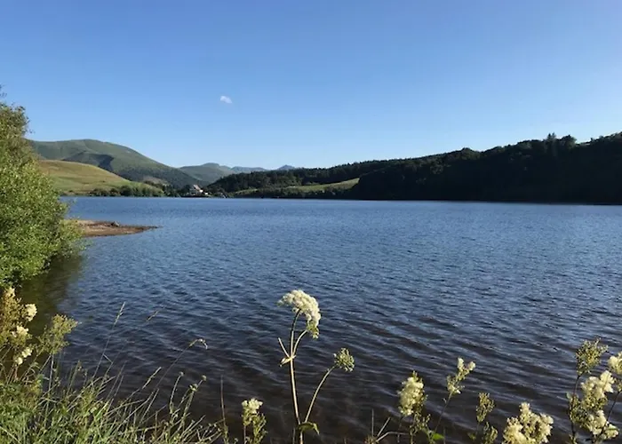 펜션 Maison Au Mont-dore Avec Jardin Clos, Ideale Pour 10 Personnes - Fr-1-608-120 르몽도레